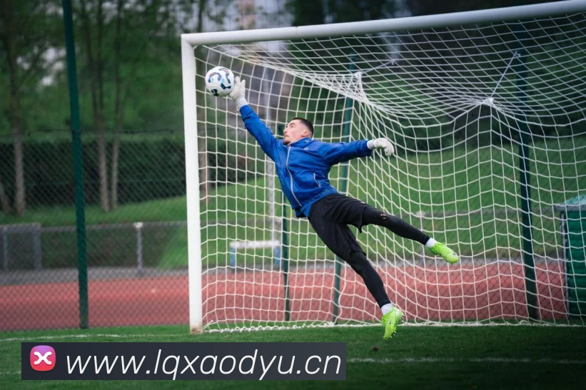 c7官网入口平台生态图