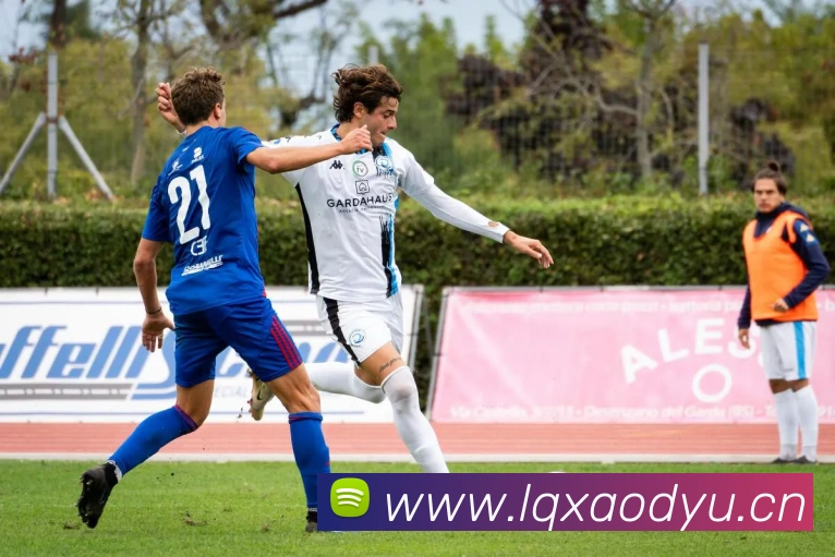 c7官网入口APP 封面图